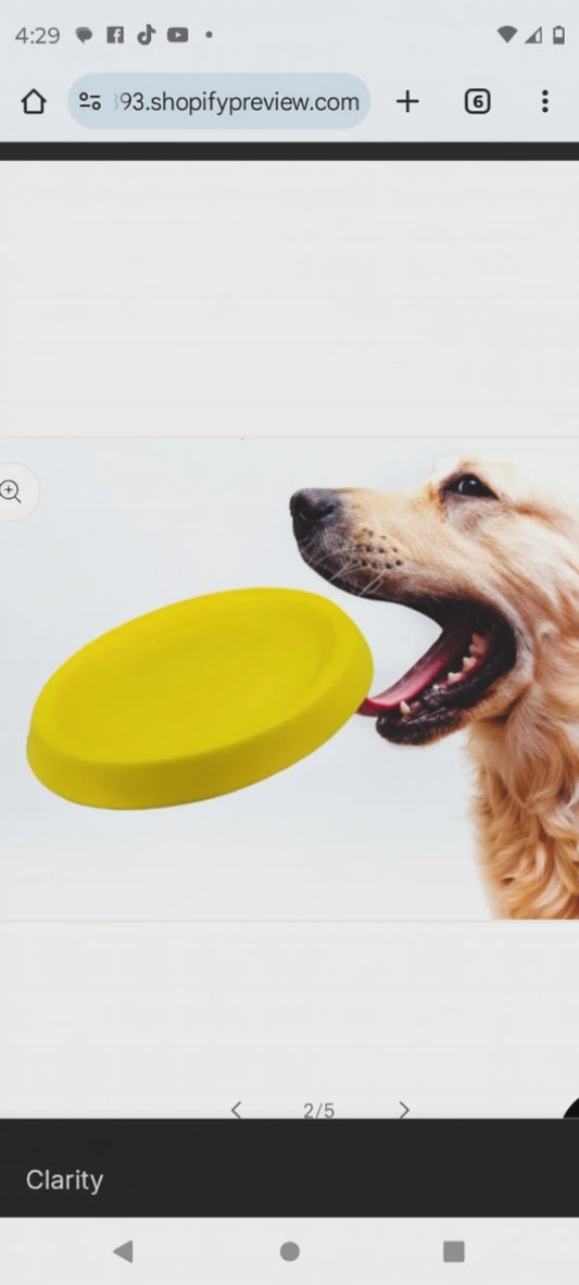 Pet Dogs Throwing Plastic Toys